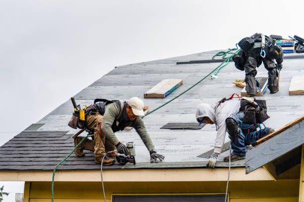 Professional Roof Inspection technician working in Amazonia, MO